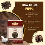 Pippli - Long Pepper - पिप्पली - Piper longum - Image 4