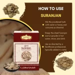 Suranjan - Indian Colchicum - सुरंजन - Colchicum luteum - Image 4