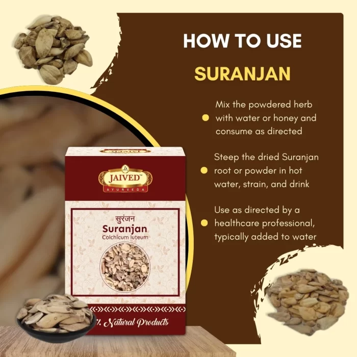 Suranjan - Indian Colchicum - सुरंजन - Colchicum luteum - Image 4