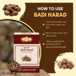 Badi Harad - Haritaki - बड़ी हरड़ - Terminalia chebula - Image 4
