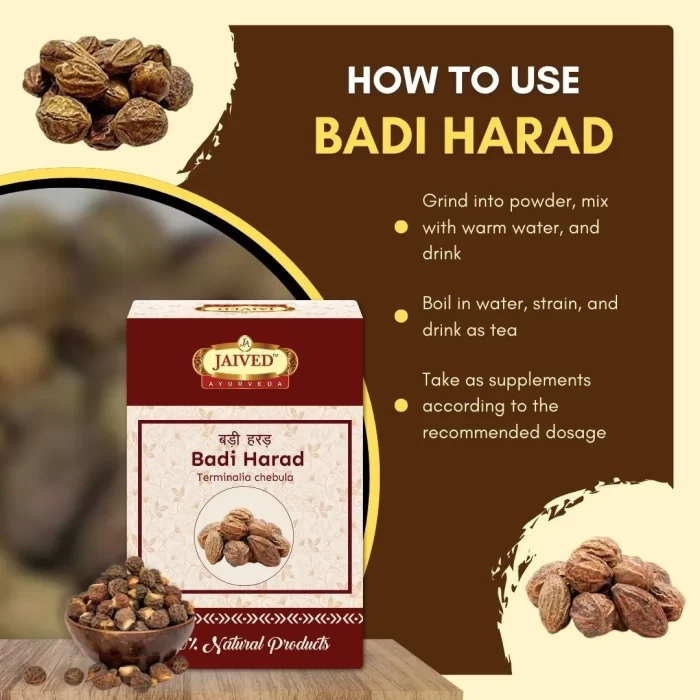 Badi Harad - Haritaki - बड़ी हरड़ - Terminalia chebula - Image 4
