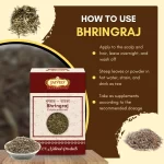 Bhringraj - False Daisy - भृंगराज - Image 4