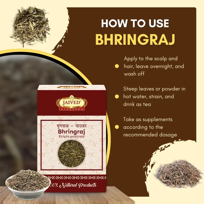 Bhringraj - False Daisy - भृंगराज - Image 4