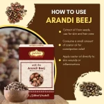 Arandi Beej - Castor Oil Plant - अरंडी बीज - Ricinus communis - Image 4