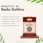 BaboolGond-benefits-rawherb.jpg