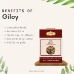 Giloy-benefits-rawherb.jpg
