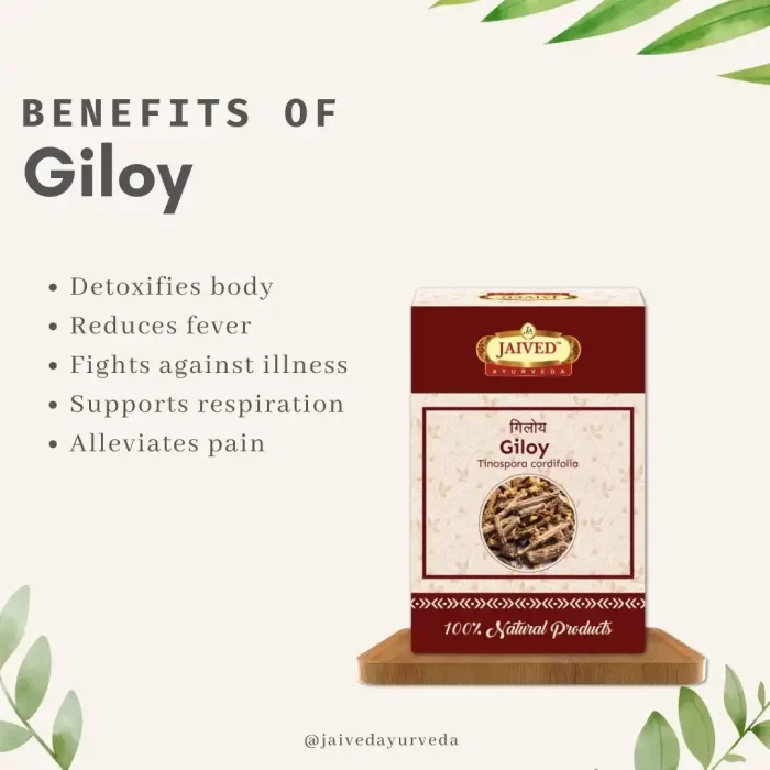 Giloy-benefits-rawherb.jpg