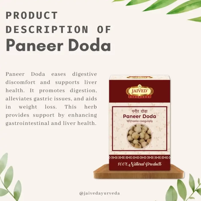 PaneerDoda-description-rawherb.jpg