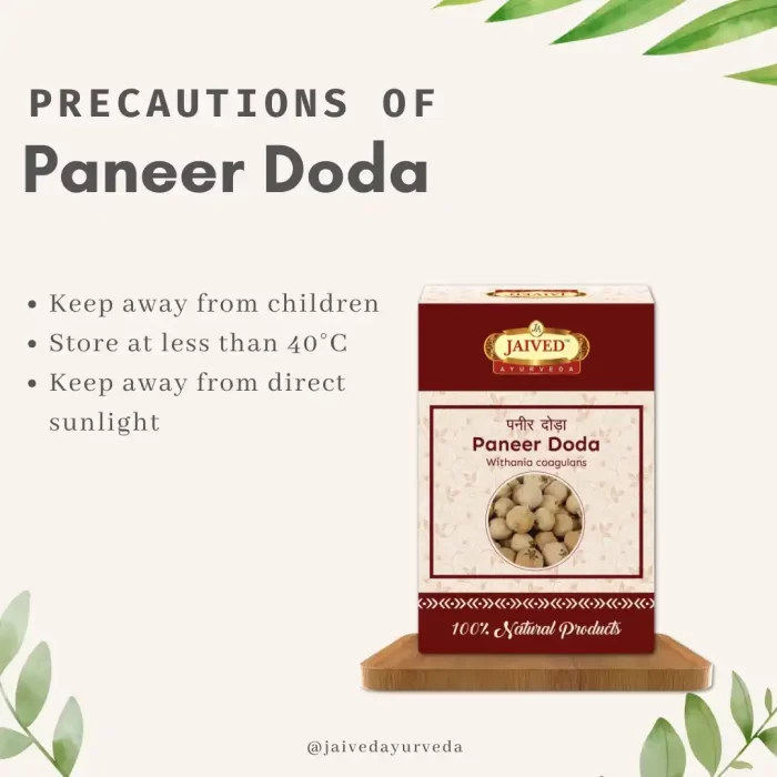 PaneerDoda-precautions-rawherb.jpg