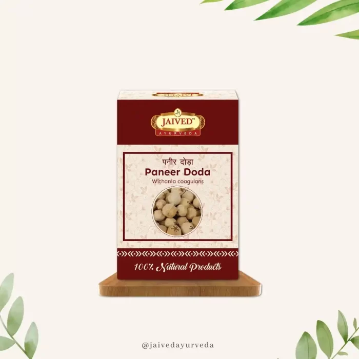 PaneerDoda-rawherb.jpg
