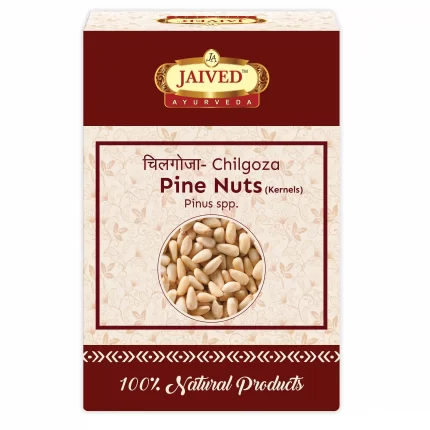 Pine Nut Kernels - Chilgoza Giri - Jaived Dry Fruits