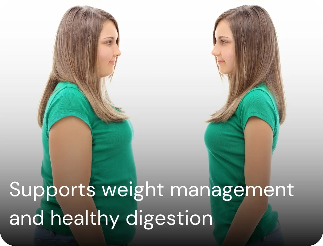 Madhumehveda Churna 3