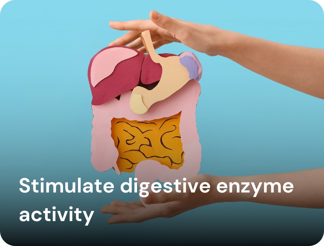 Stimulate digestive enzyme activity