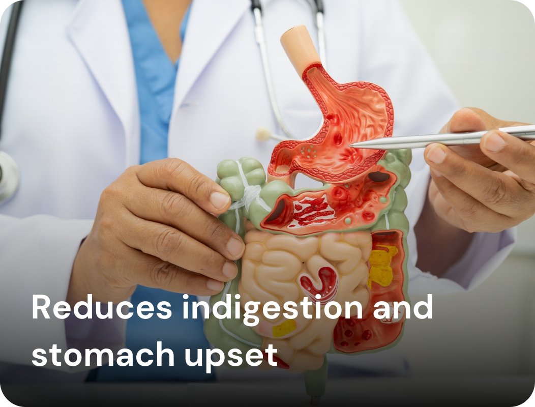 Reduces indigestion and stomach upset