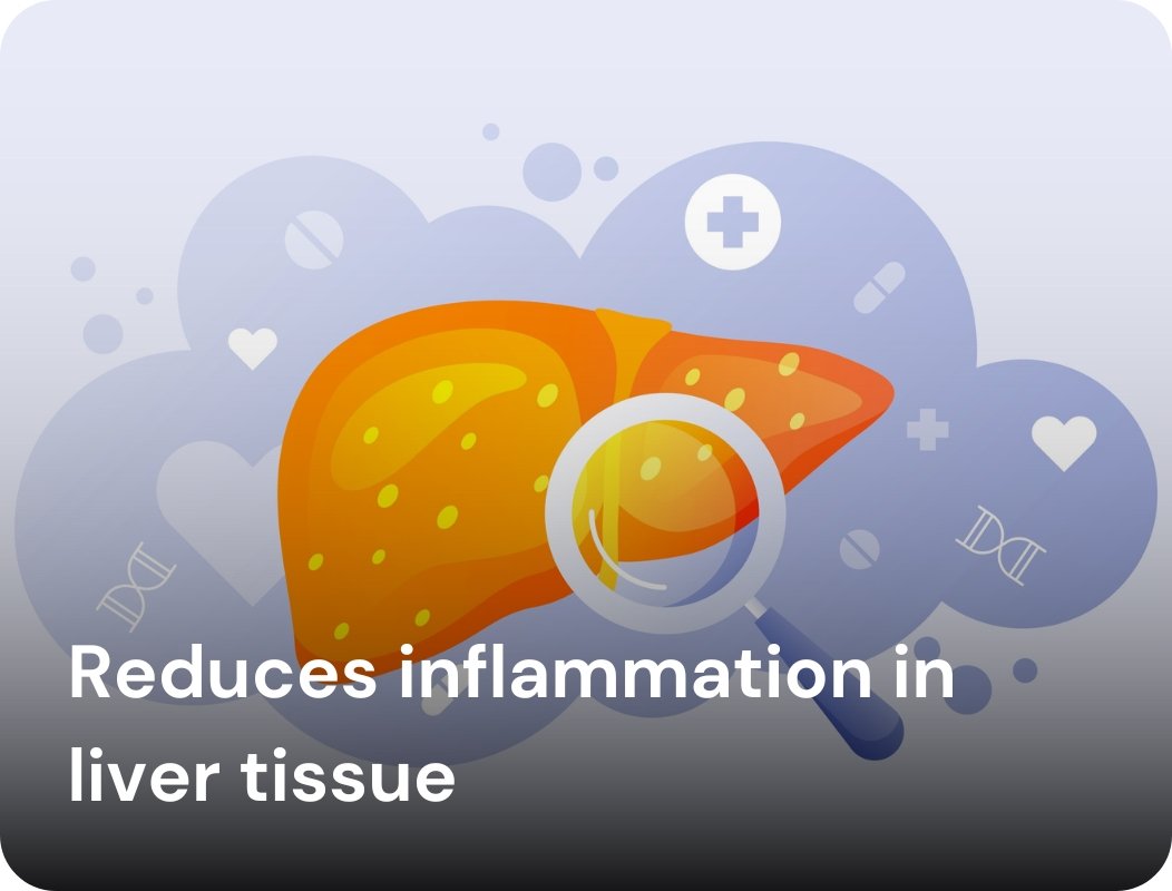 Reduces inflammation in liver tissue