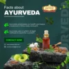 facts about ayurveda