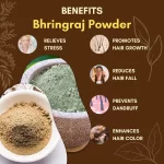 Bhringraj Powder - Image 3