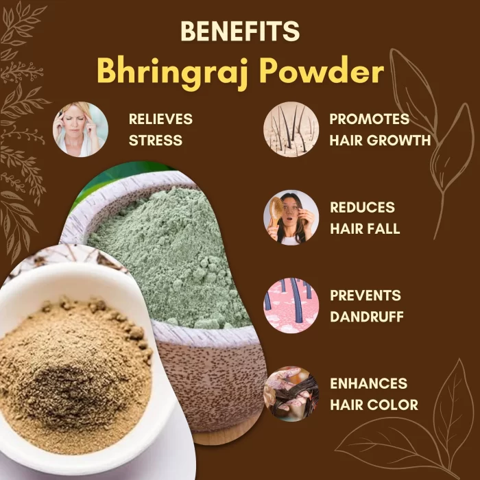 Bhringraj Powder - Image 3