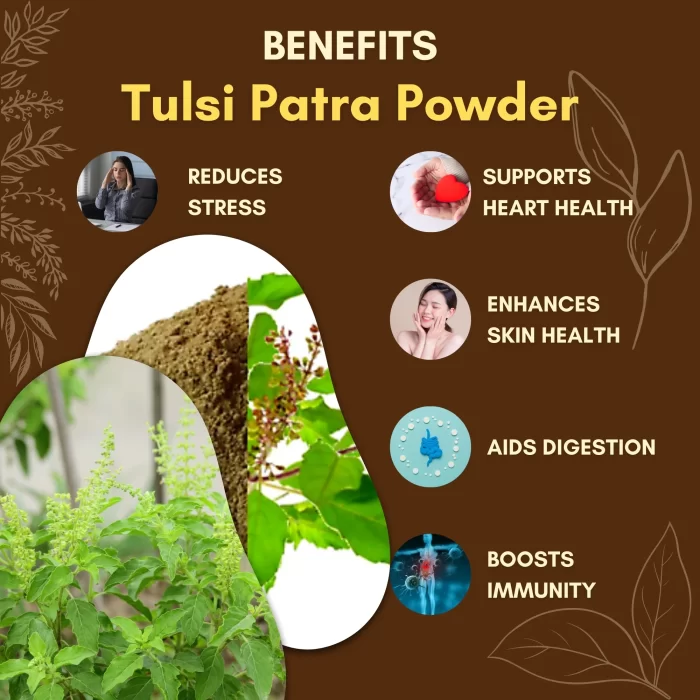 Tulsi Patra Powder - Image 2
