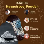 Kaunch Beej Powder Premium Quality - Image 2