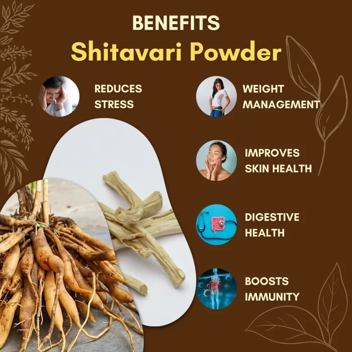 Shitavari Powder Premium Quality - Image 2