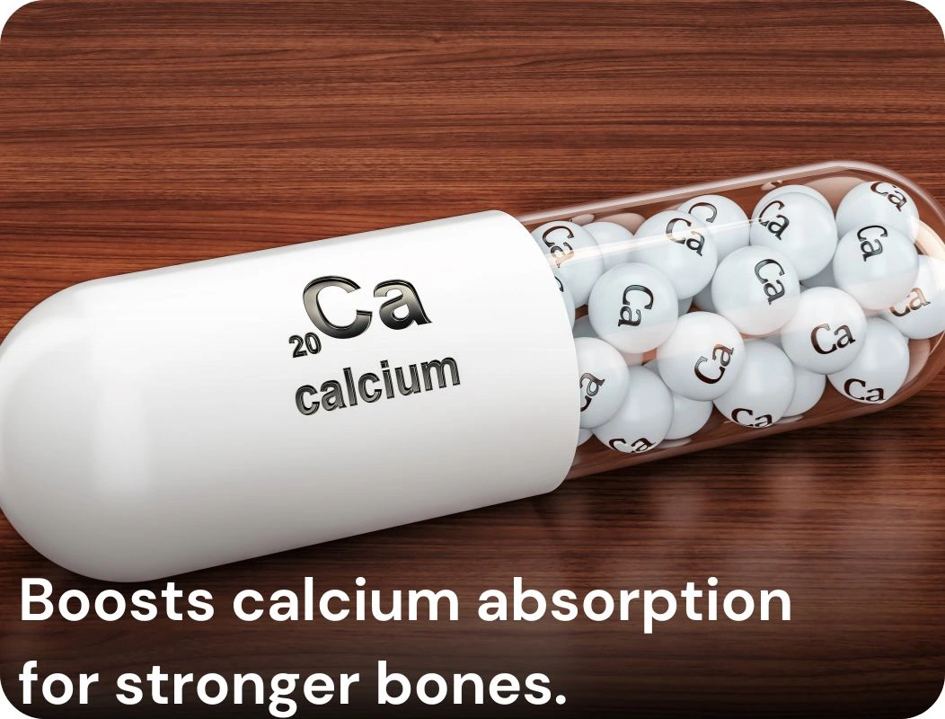 Calcivardhak-KeyFeatures2