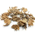 Salab Panja