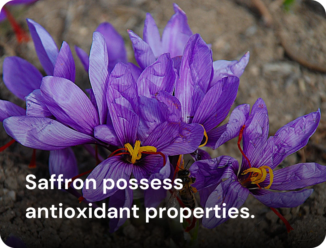 Kesar - Benefits - 1