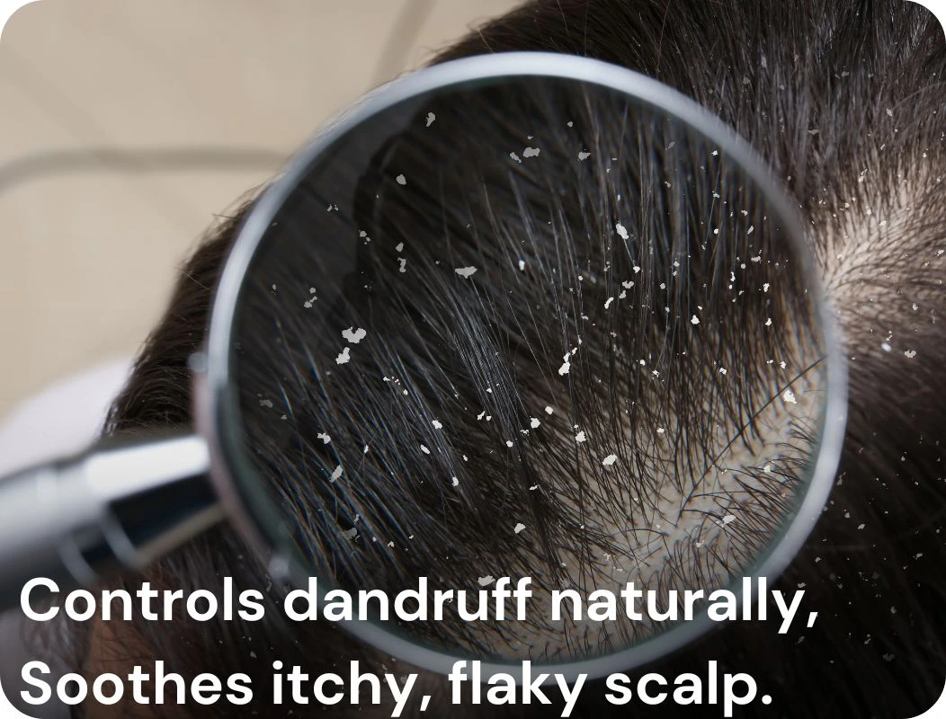 Mahabhringraj Tel-Key-Feature-3