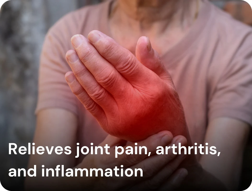 Mahayograj Guggulu 1