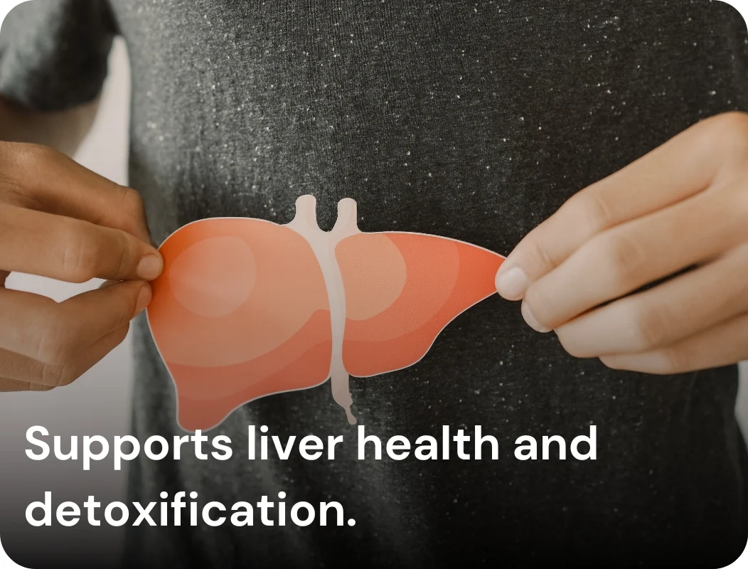 Supports liver health and detoxification.
