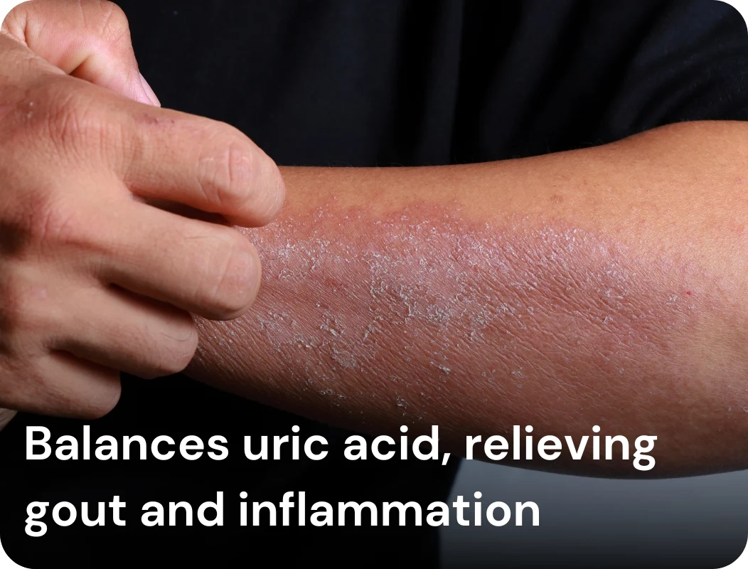 Balances uric acid, relieving gout and inflammation