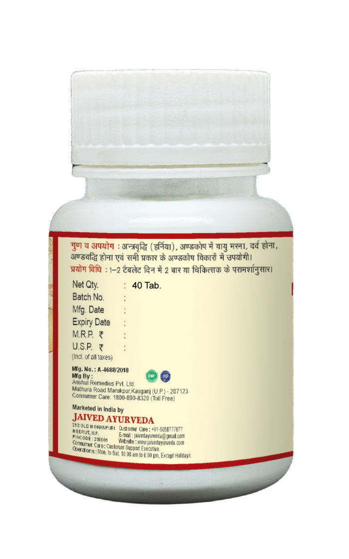 Vridhiwadhika Vati – Formula for Hernia, Swelling & Joint Health - Image 5