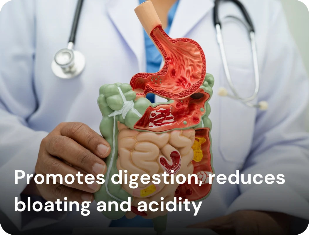 Promotes digestion, reduces bloating and acidity